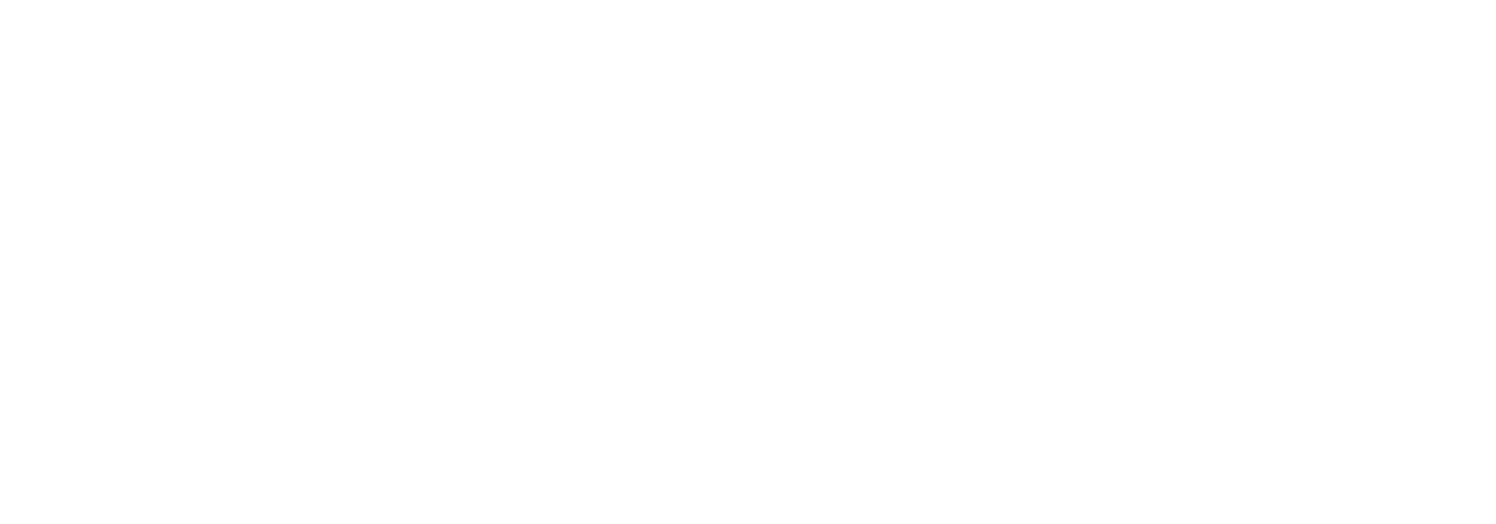 Meyer Werft