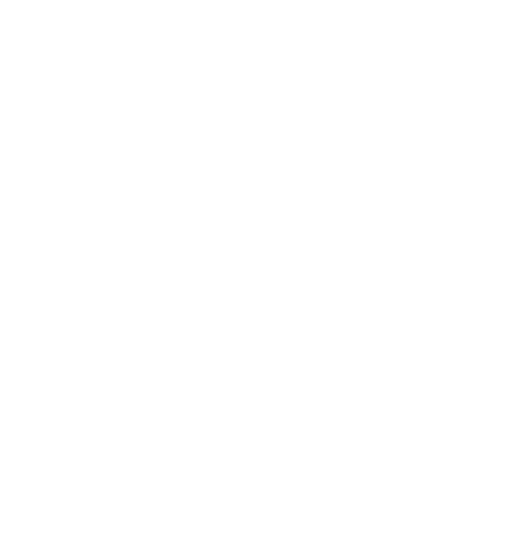 VfL Bochum